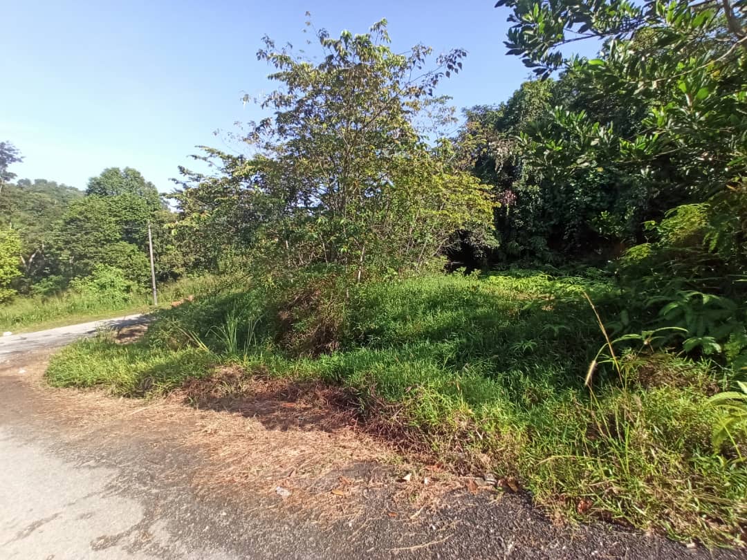 Sg Merab Bangi - photo 2