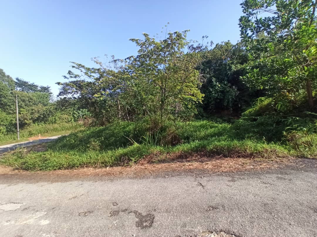 Sg Merab Bangi - photo 7
