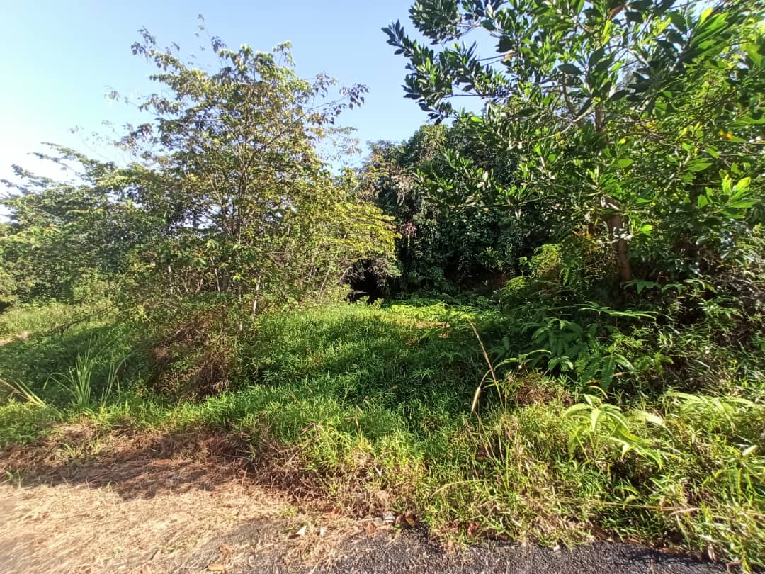 Sg Merab Bangi - photo 8