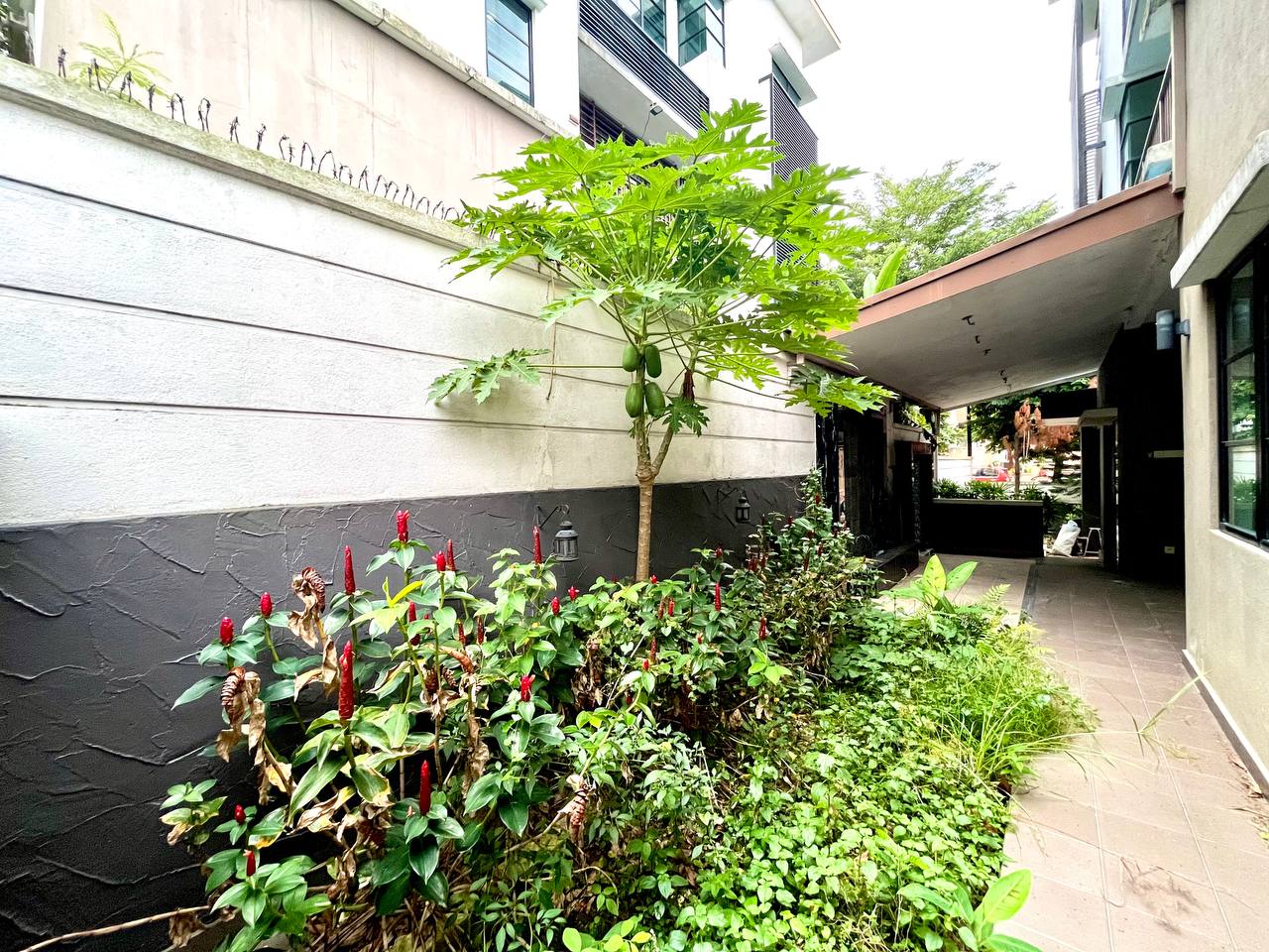Jelutong Heights - photo 3