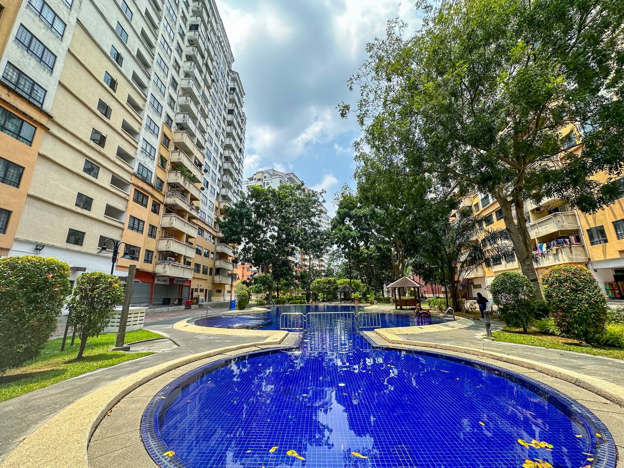 Vista Millenium - photo 4