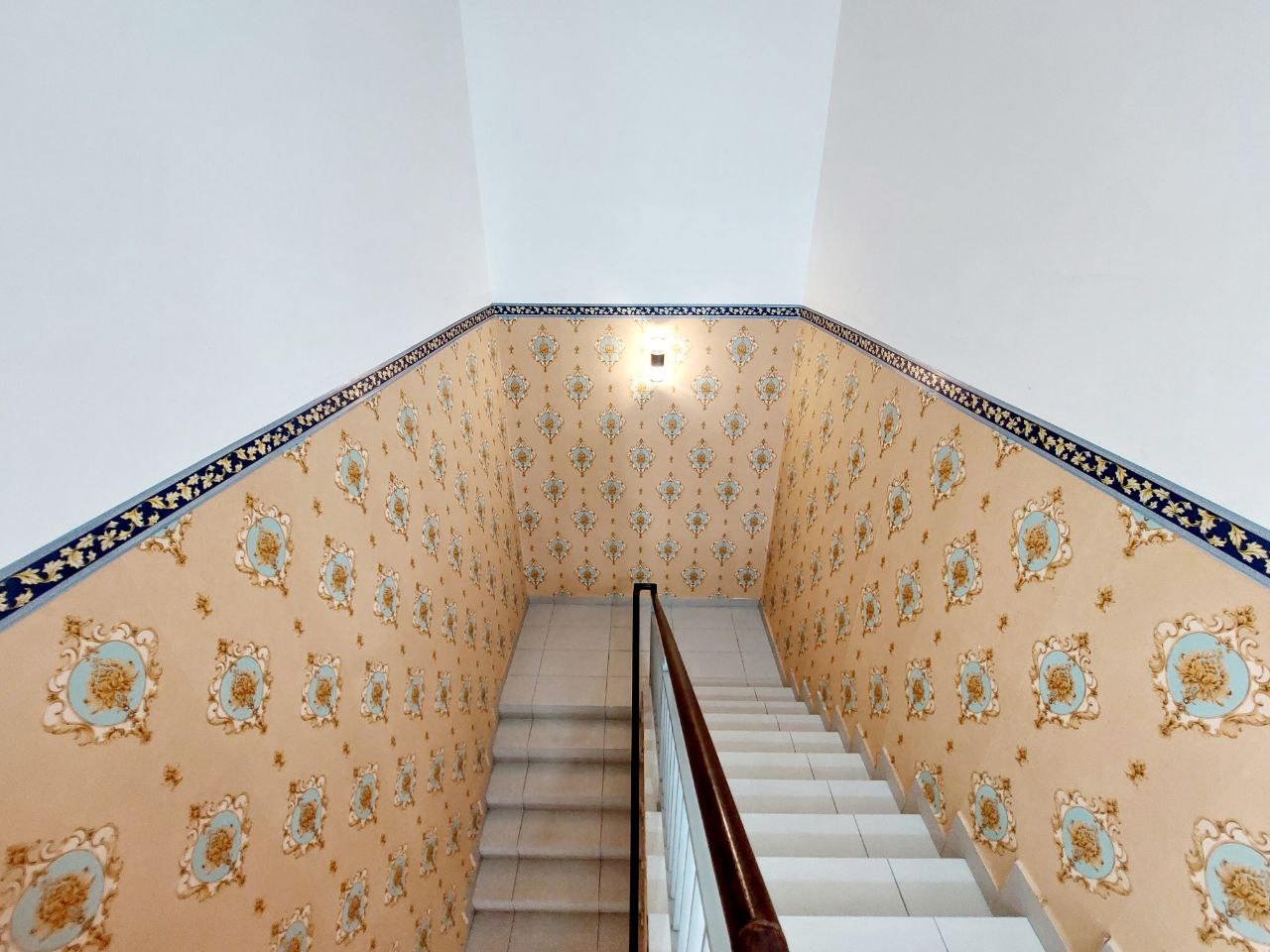 Canary Garden - photo 10