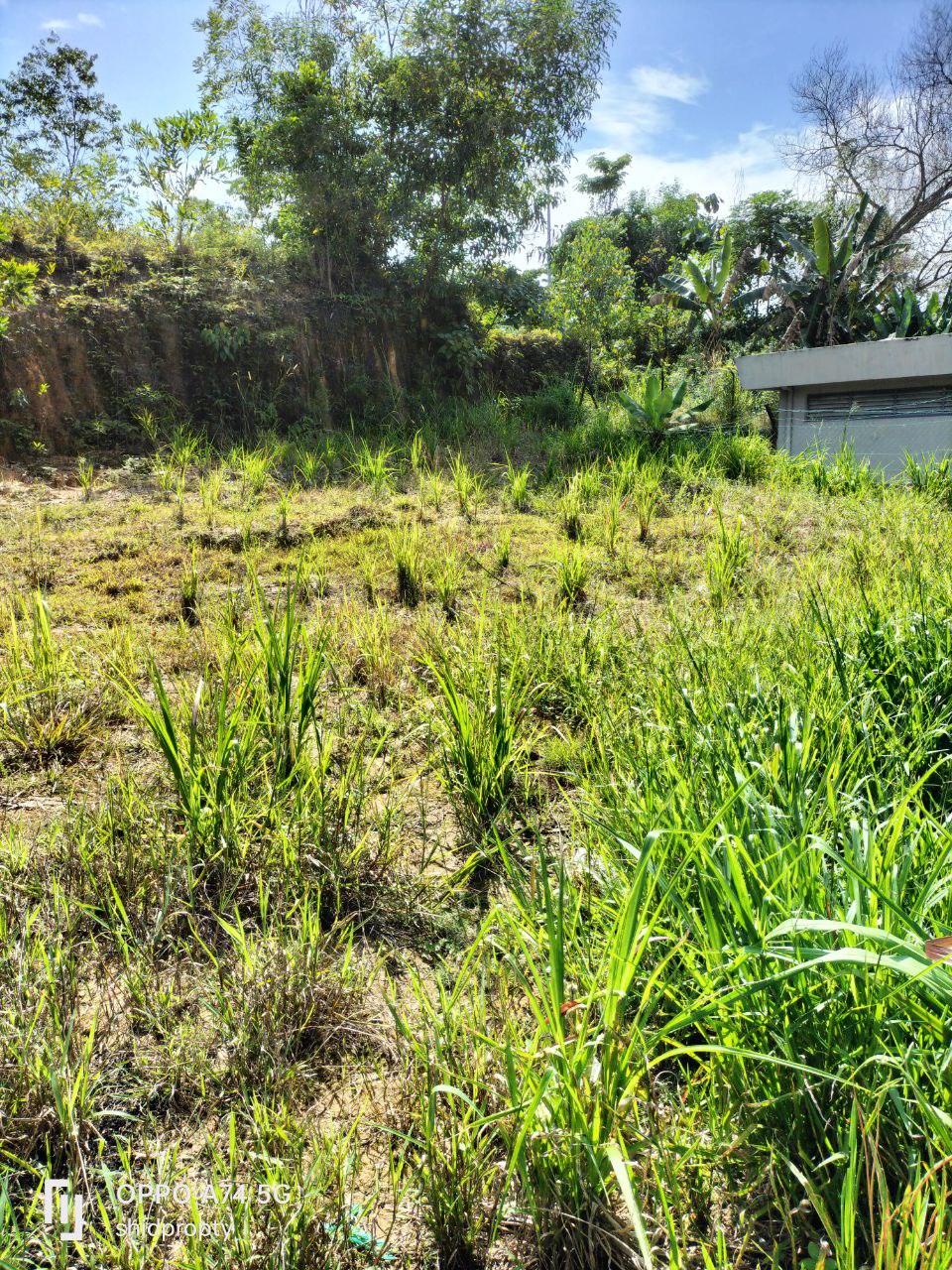 Saujana Damai - photo 2