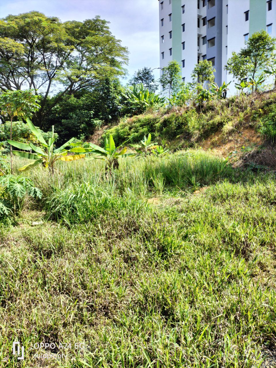 Saujana Damai - photo 4