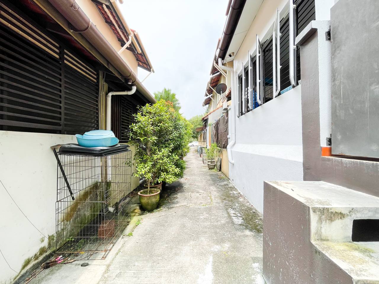Bukit Jelutong - photo 2