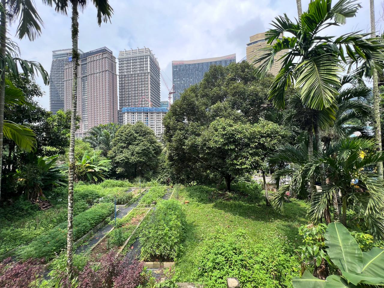 Bukit Lanjan Kuala Lumpur - photo 7