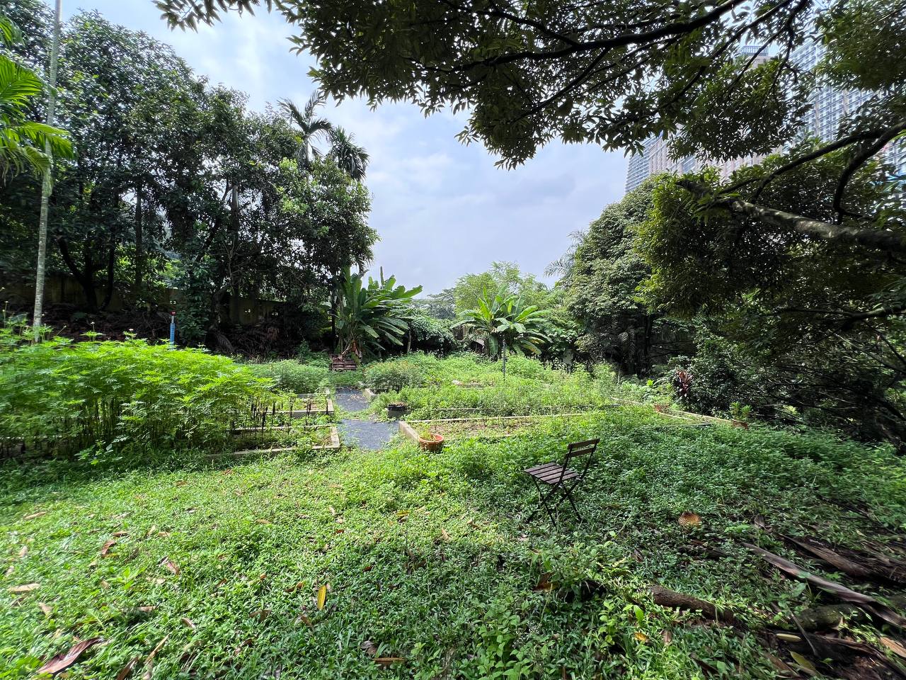 Bukit Lanjan Kuala Lumpur - photo 11
