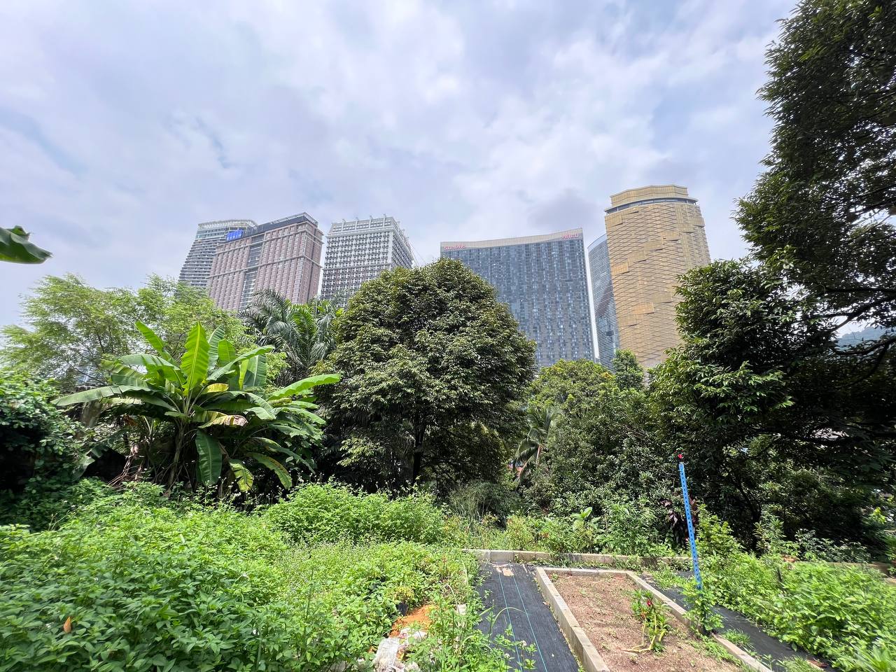 Bukit Lanjan Kuala Lumpur - photo 13