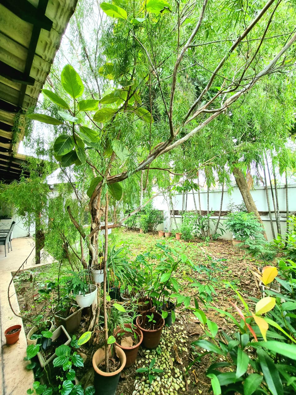 Seksyen 17 Petaling Jaya - photo 6