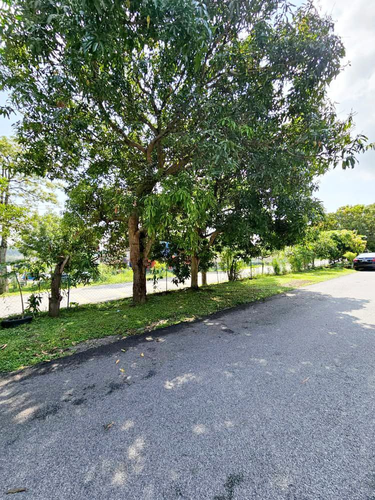 PUJ 7 Puncak Jalil - photo 2