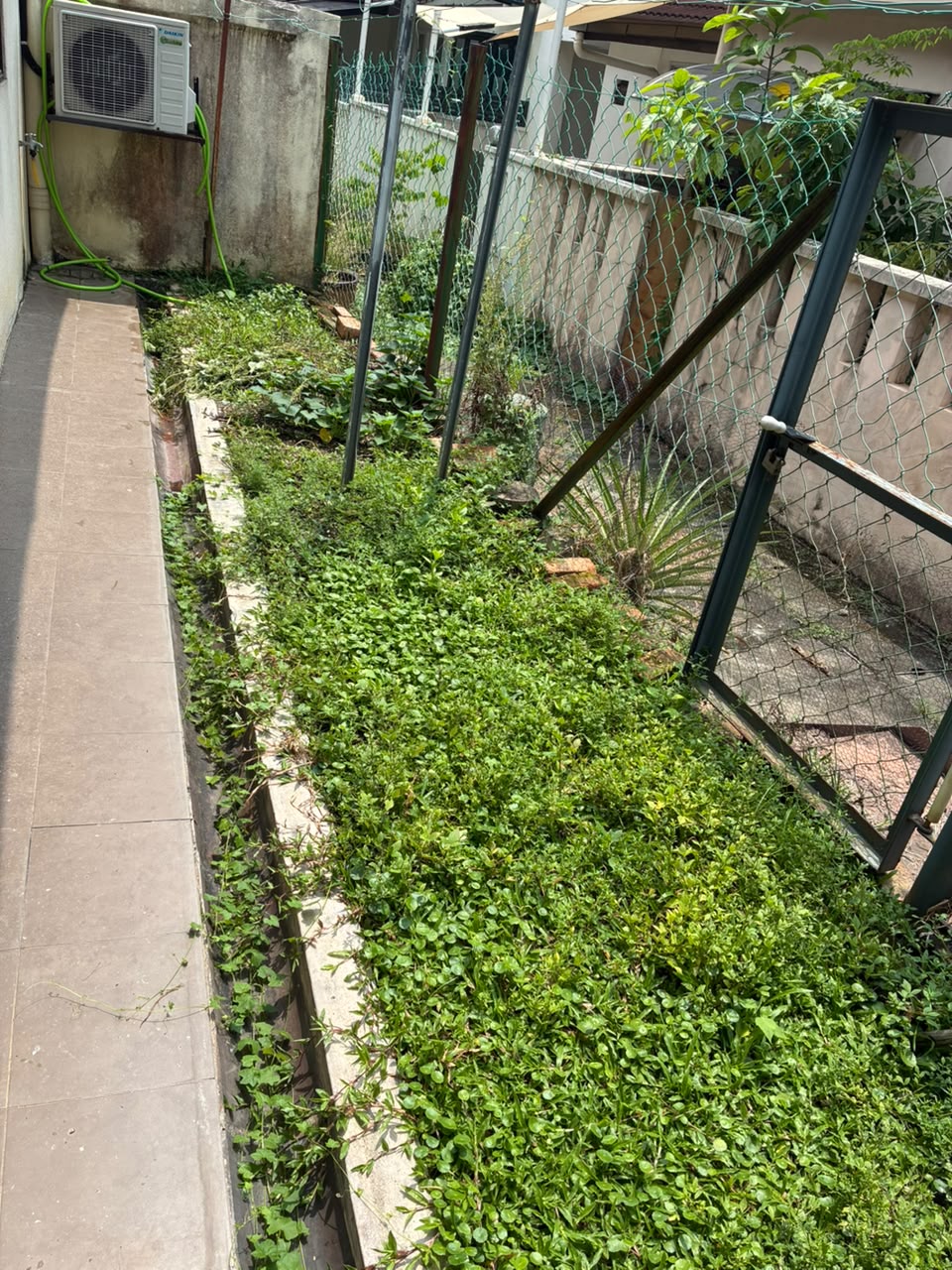 2609 4791 Jeriji Bkt Jelutong by Emily - photo 6