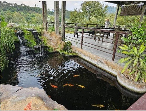 2609 4817 Agri Land Hulu Langat by Emily - photo 4