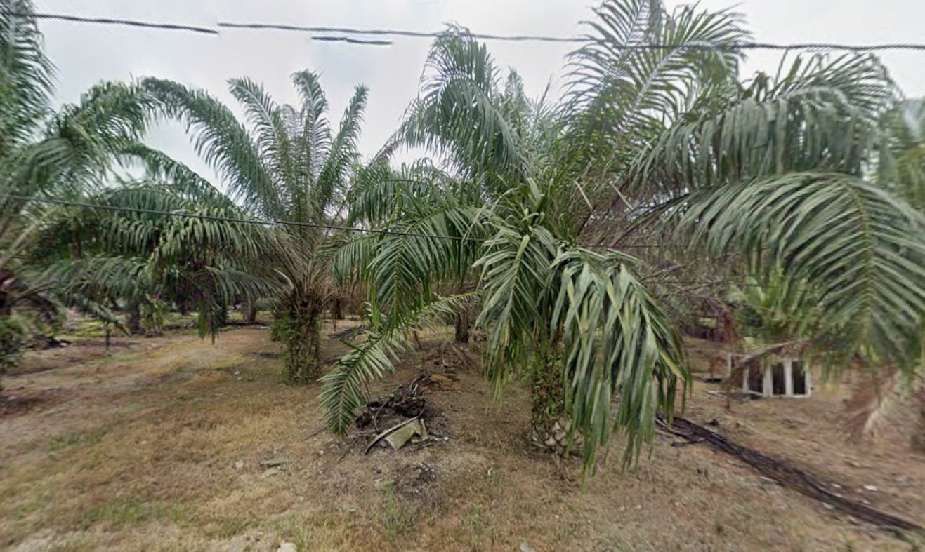 2610 Agriculture Zone Indus Land by Emily - photo 4