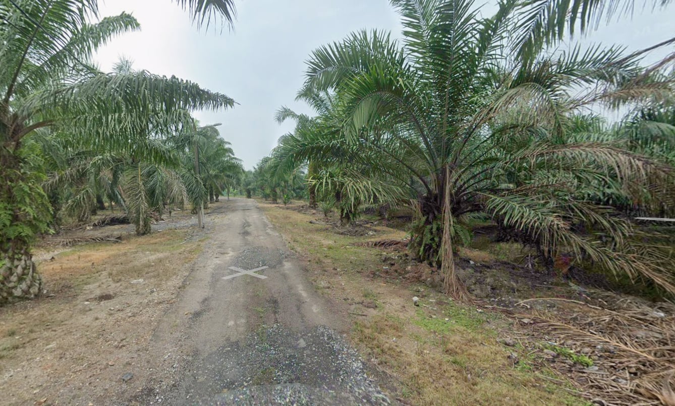 2610 Agriculture Zone Indus Land by Emily - photo 5