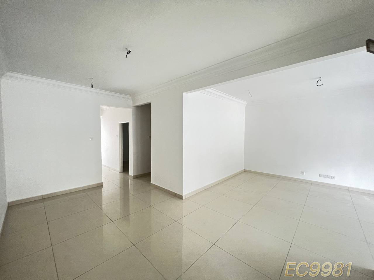 Bandar Botanic 22X75 Renovated - photo 2