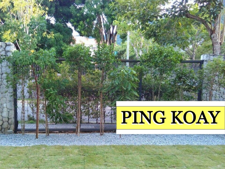 PERMAI GARDEN with Extra Backyard Space 1920SQFT - photo 6