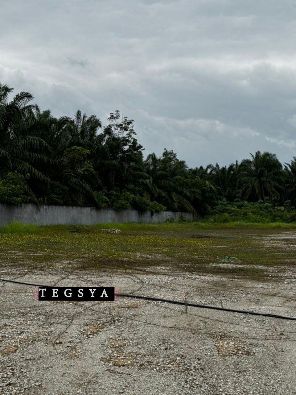 Syasya Bukit Badong  ...
