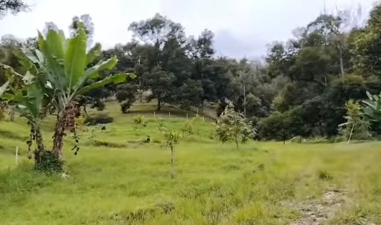 Eric Pahang Bentong - photo 2
