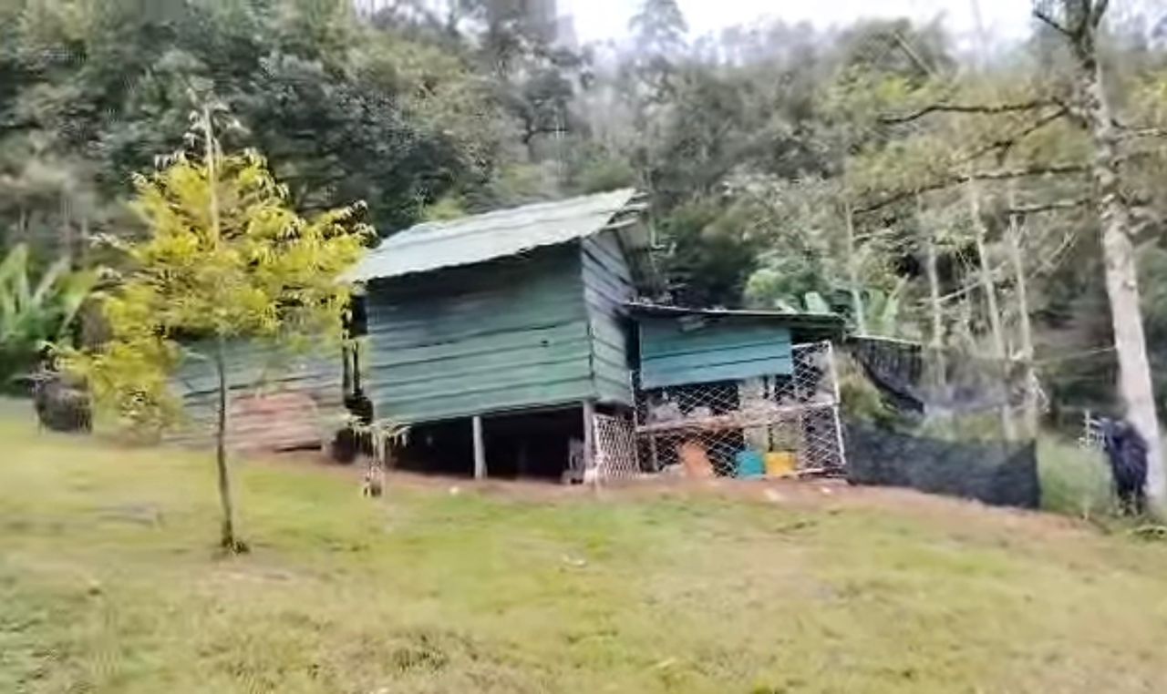 Eric Pahang Bentong - photo 3