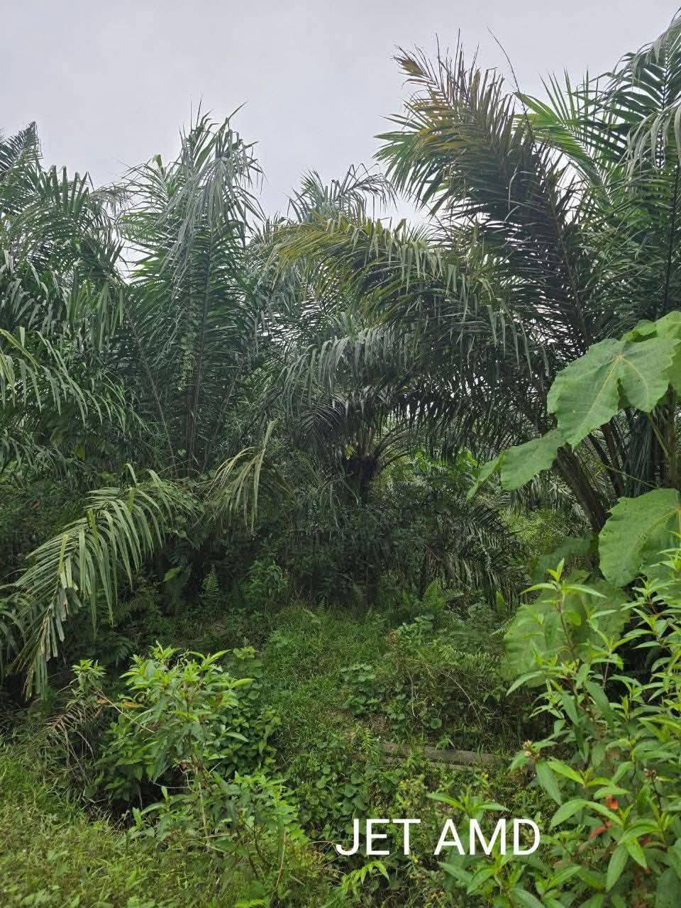 Telok Panglima Garang Land - photo 2