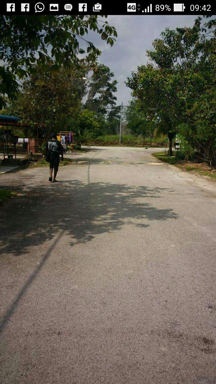 KESUMBA Bukit Beruntung 3 Selangor - photo 7