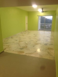 DESA VIEW TOWER CONDO - photo 7