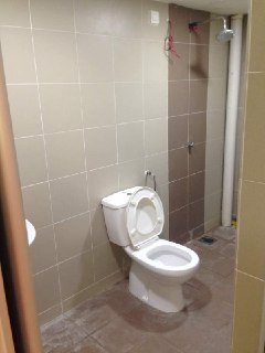 DESA VIEW TOWER CONDO - photo 5