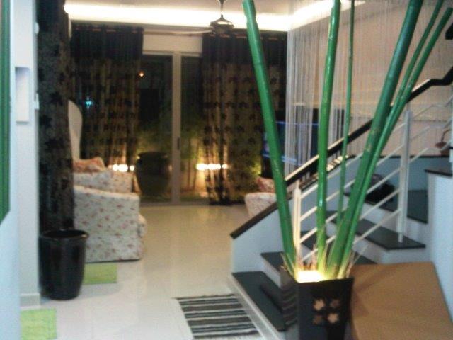 Zenia Parkhomes