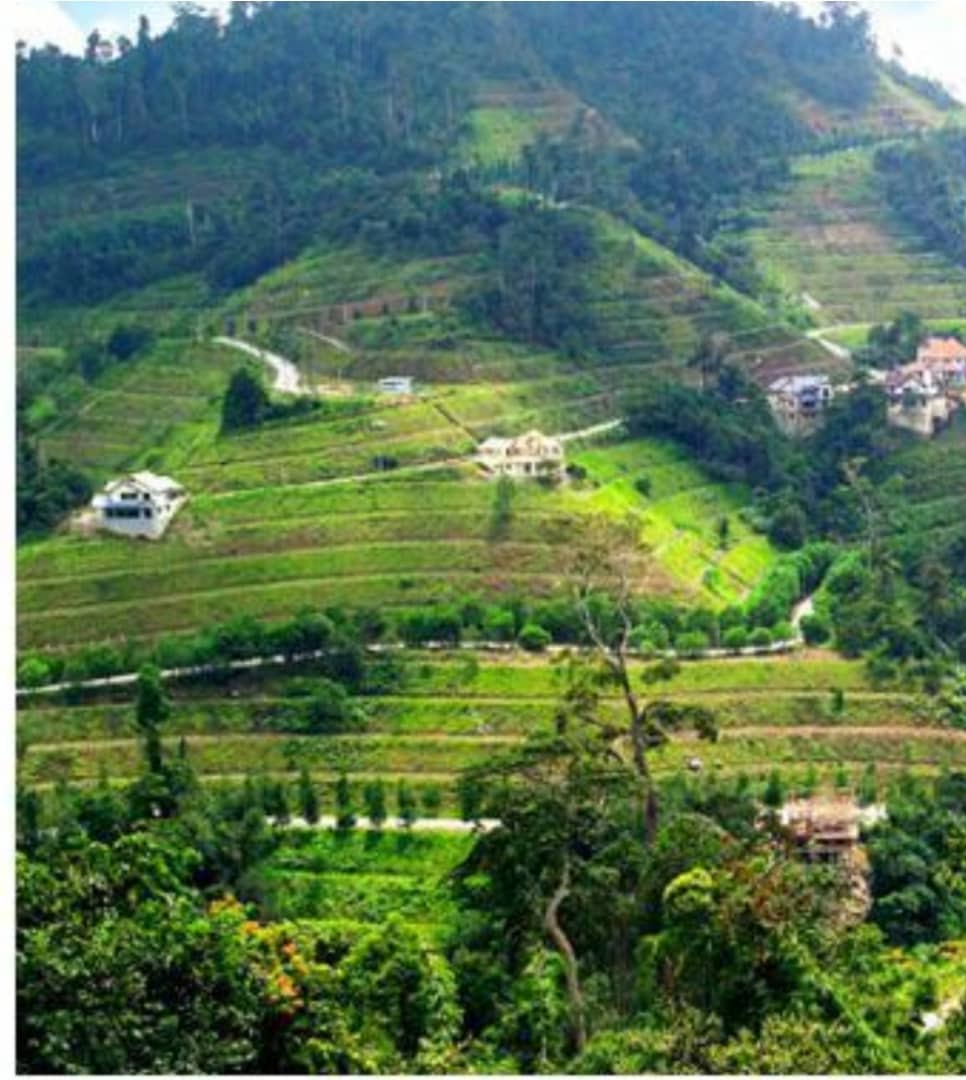 Berjaya Hill,Bukit Tinggi,Pahang,Bungalow Land