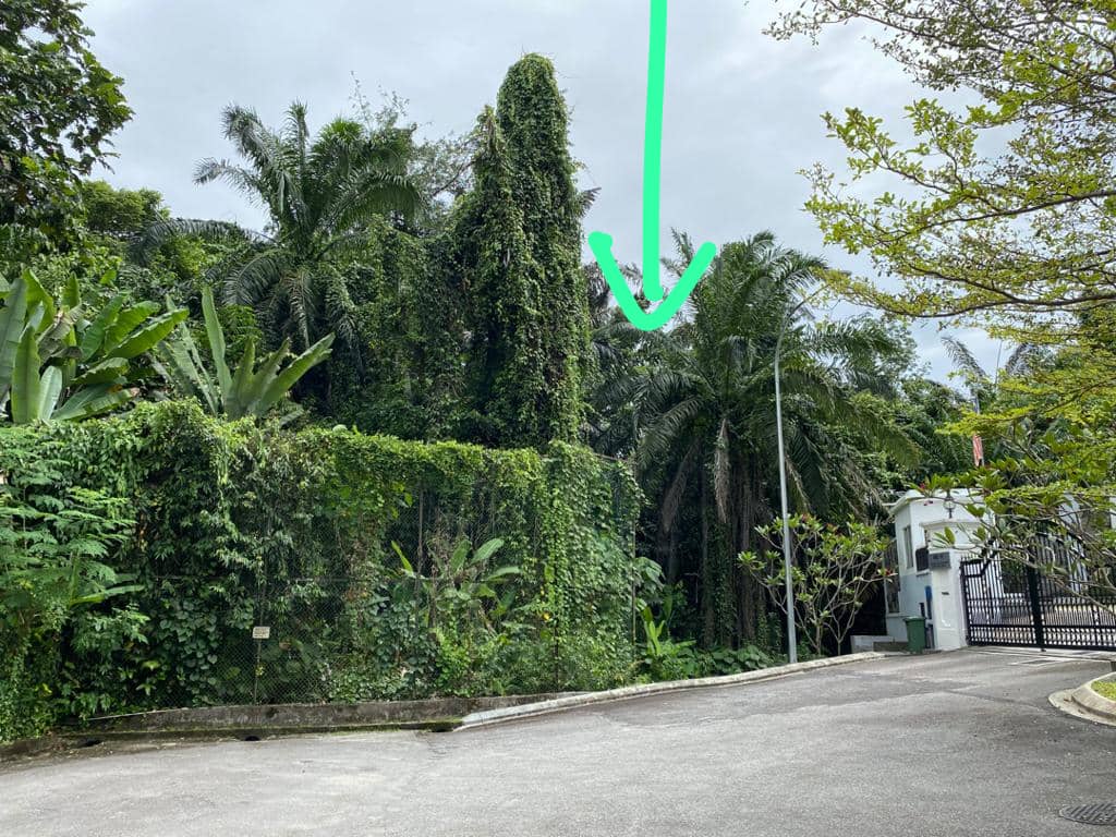 Bukit Tunku,Kenny Hill,Bungalow Land - photo 5