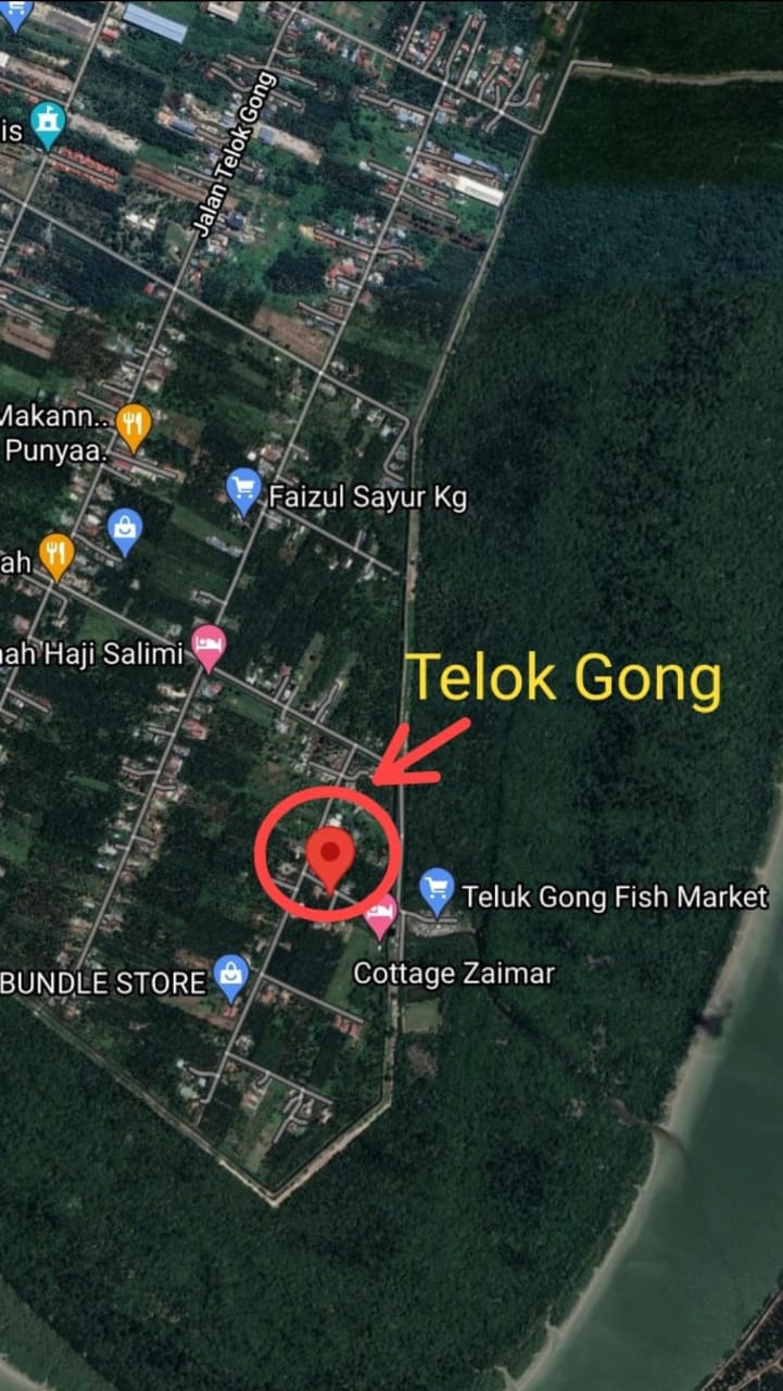 Telok Gong,Port Klang,Agriculture Land - photo 5