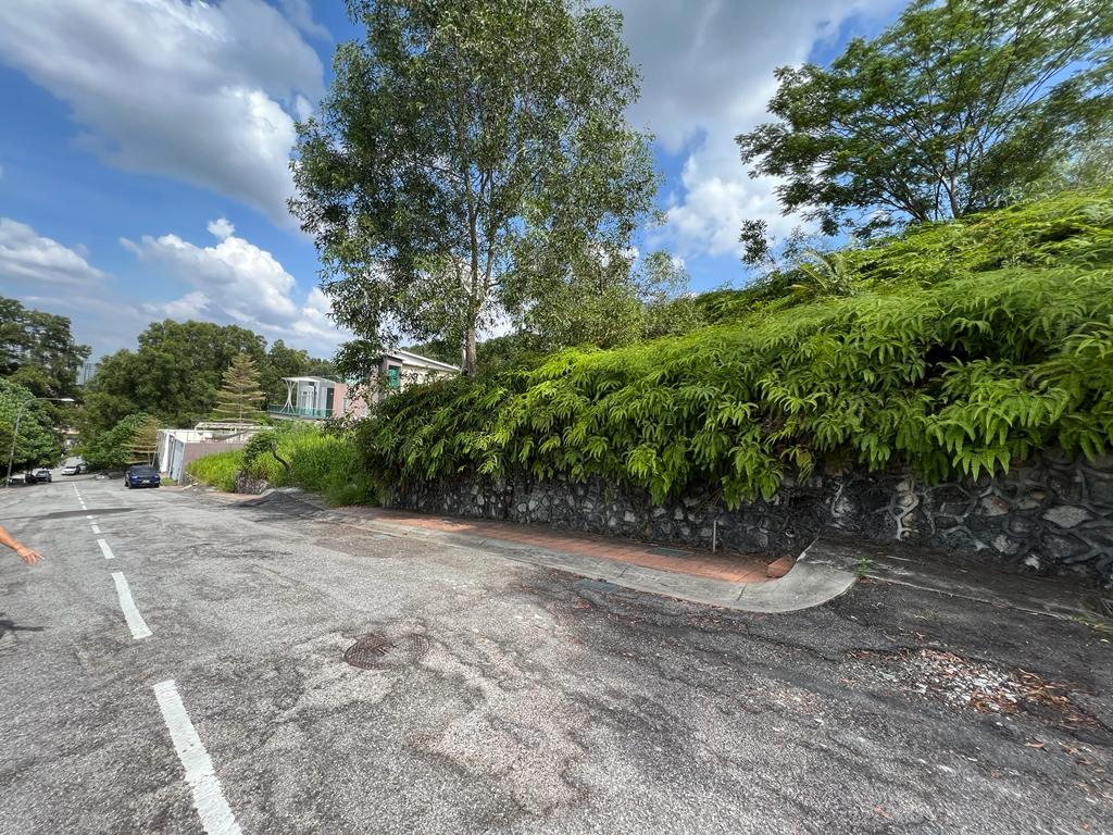 Bukit Sri Bintang,Kepong - photo 5