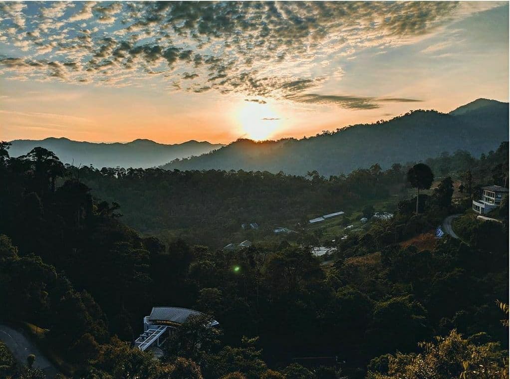 Tanarimba,Janda Baik,Bukit Tinggi,Pahang - photo 5