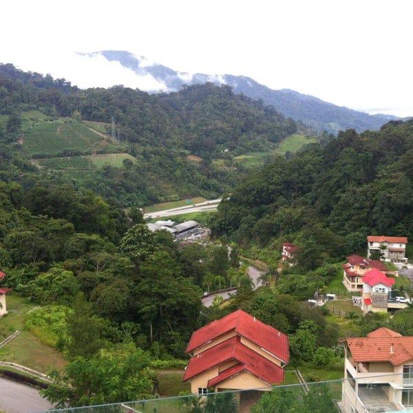 Genting Sempah,Jalan Rimba,Bukit Tinggi,Bentong - photo 2