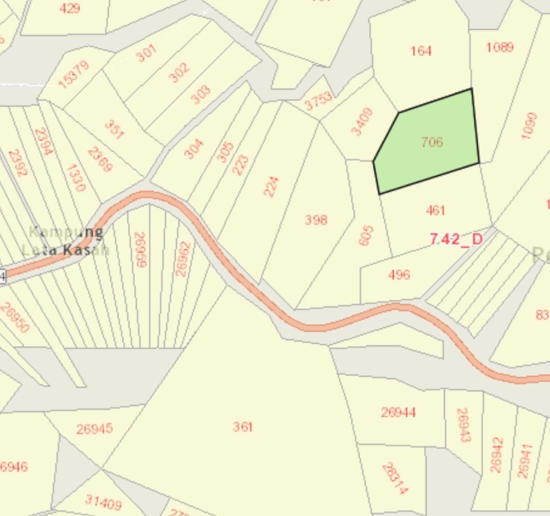 AGRICULTURAL LAND FOR SALE IN LATA KASAH JERANTUT - photo 1