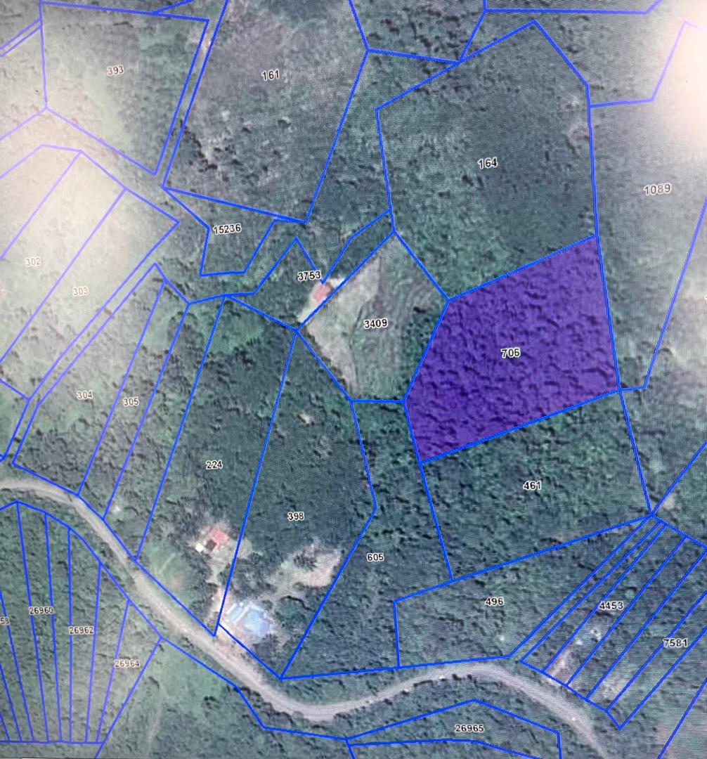 AGRICULTURAL LAND FOR SALE IN LATA KASAH JERANTUT - photo 3