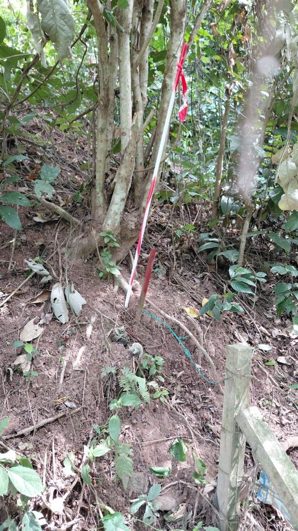 AGRICULTURAL LAND FOR SALE IN LATA KASAH JERANTUT - photo 7
