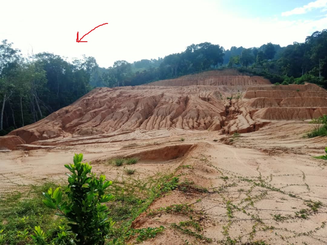 Tanah Dusun Hutan Pertanian rm5sqft Dusun Tua Hul - photo 3