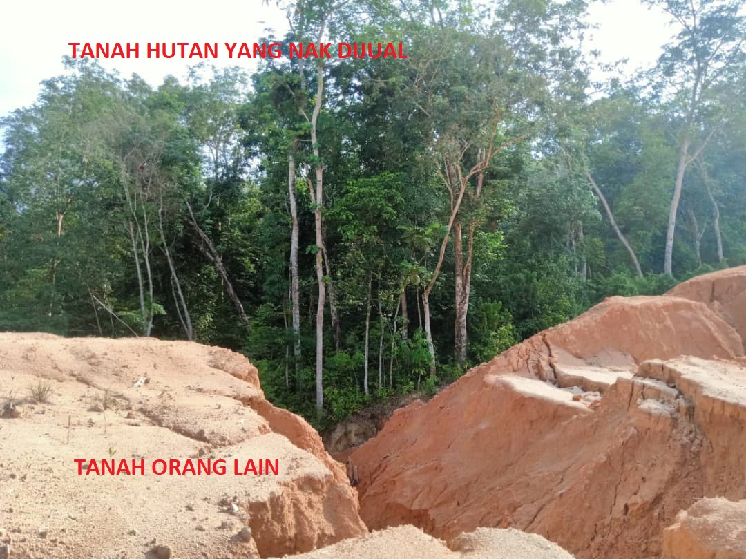 Tanah Dusun Hutan Pertanian rm5sqft Dusun Tua Hul - photo 4