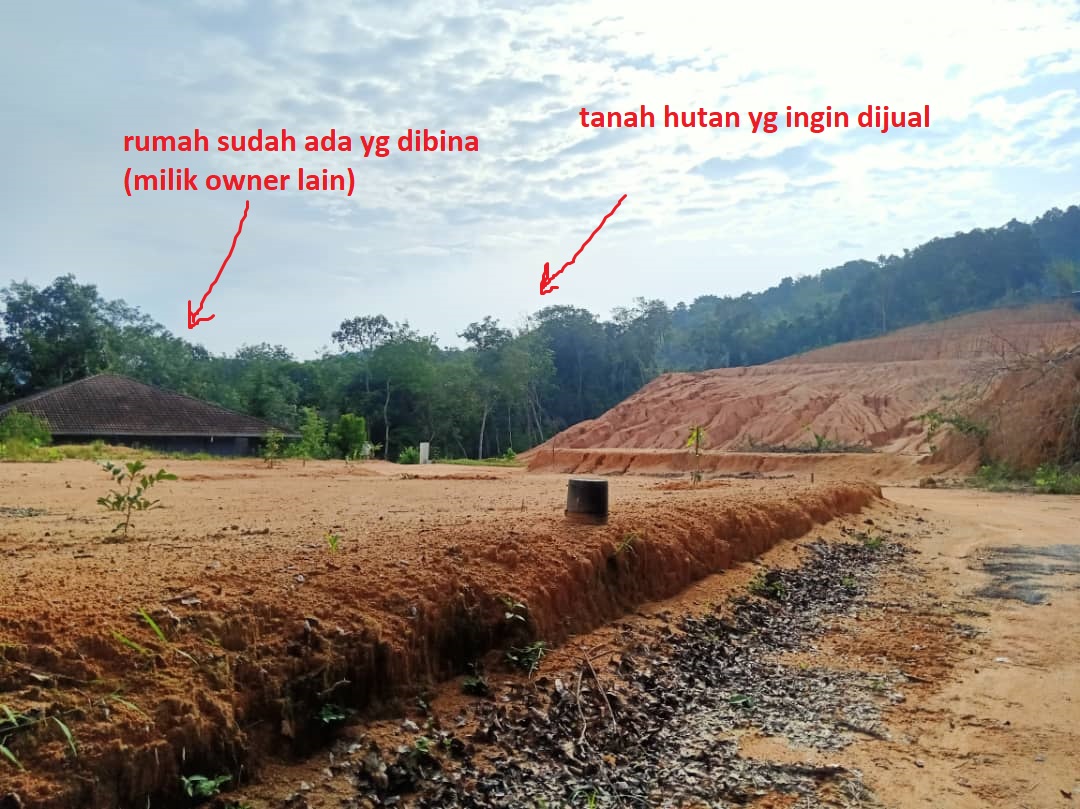 Tanah Dusun Hutan Pertanian rm5sqft Dusun Tua Hul - photo 8