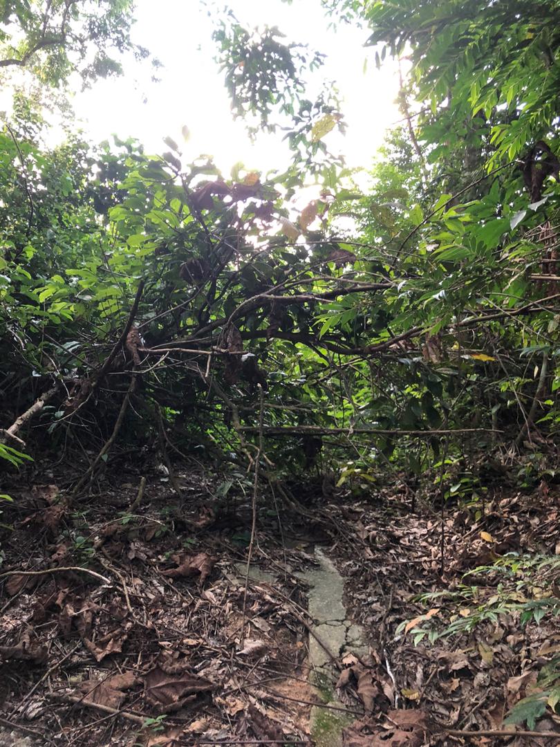 Tanah Dusun Hutan Pertanian rm5sqft Dusun Tua Hul - photo 10