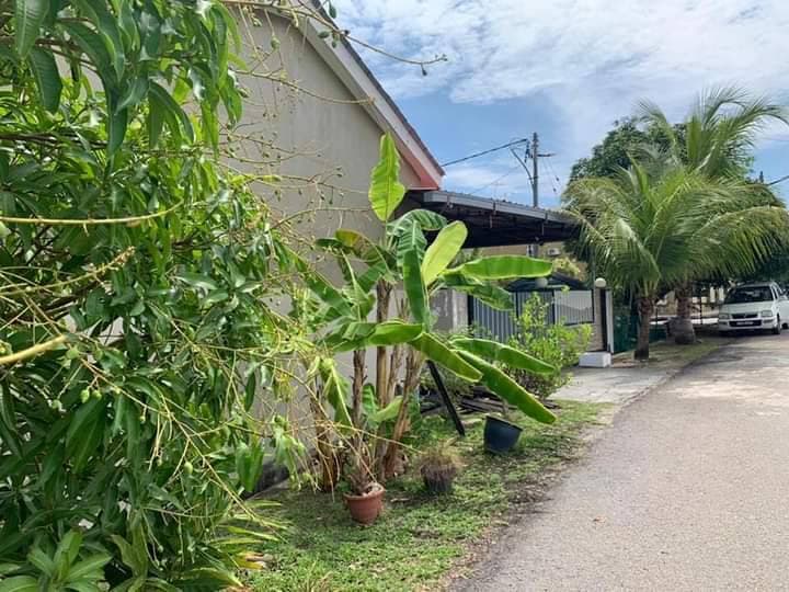 Teres Setingkat Bandar Utama Neelofa Sg Petani - photo 13