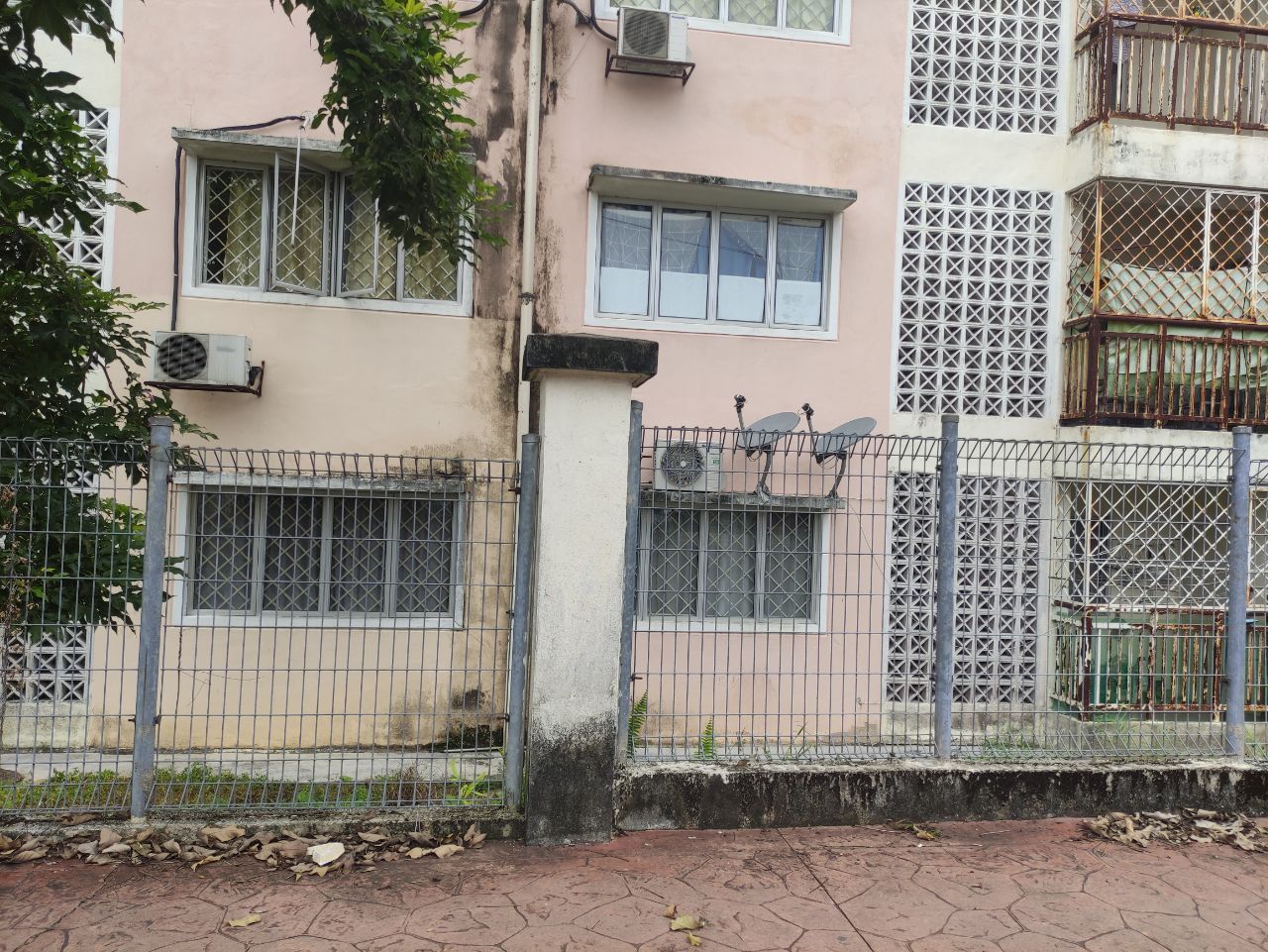 Single storey shop lot - photo 2