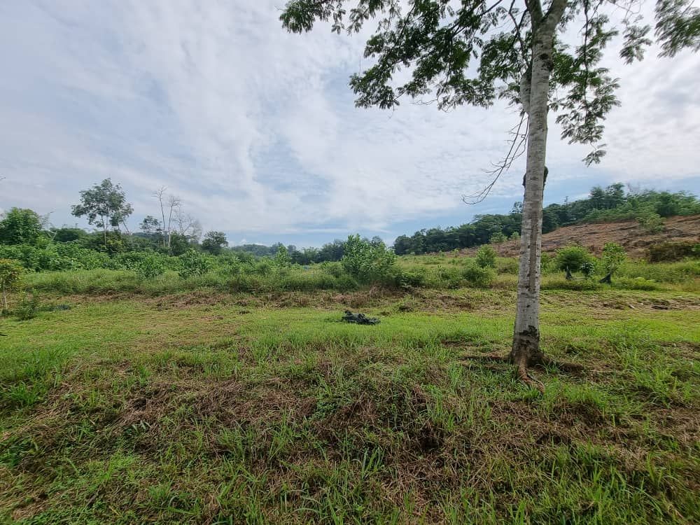 Tanah Batang Kali - photo 4