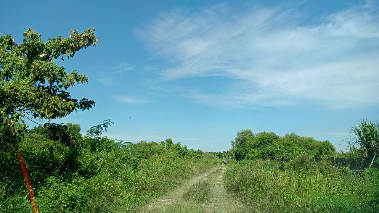 Tanah 1 Ekar Pulau Meranti Puchong - photo 5