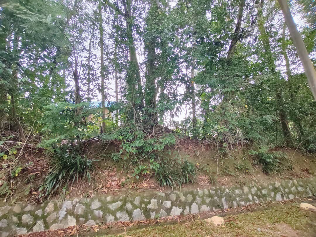 Lot Bungalow Sunga Kantan Kajang - photo 2