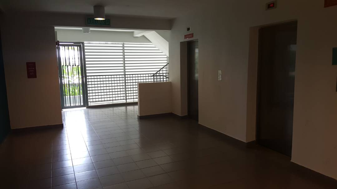 Domain 5 - photo 8