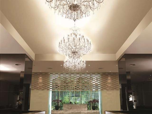 The Pearl - photo 4