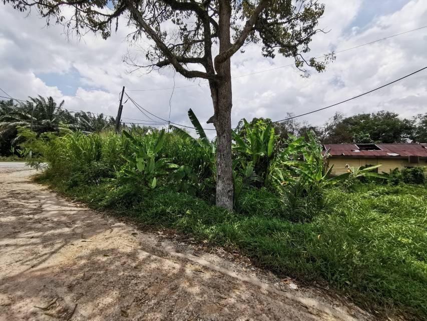 1 setengah Ekar tepi jalan, Salak Tinggi Sepang - photo 4
