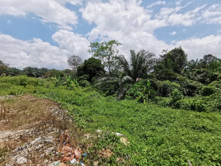 1 setengah Ekar tepi jalan, Salak Tinggi Sepang - photo 6